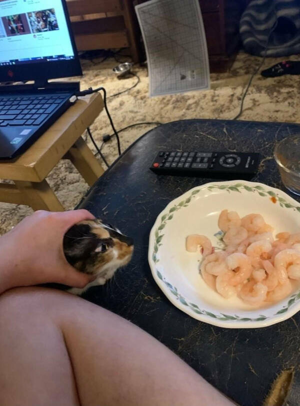 Confusing Images with Zero Explanation