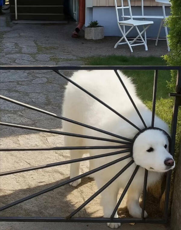 Confusing Images with Zero Explanation