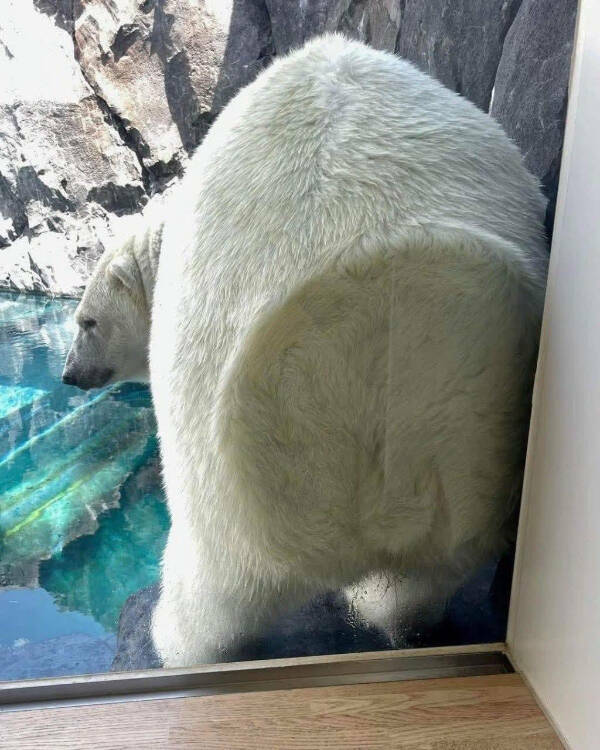 Confusing Images with Zero Explanation