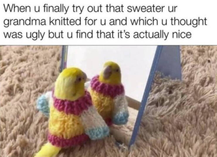 Pure Joy in Meme Form