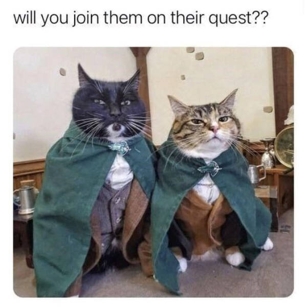 Pure Joy in Meme Form