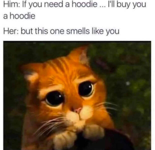 Pure Joy in Meme Form