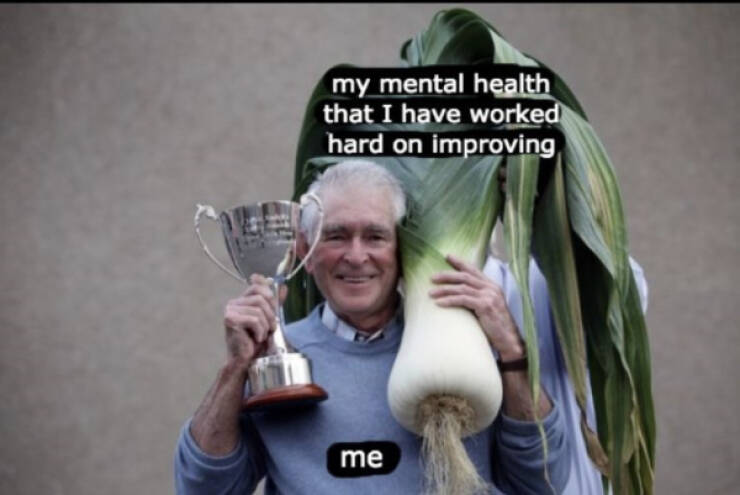 Pure Joy in Meme Form