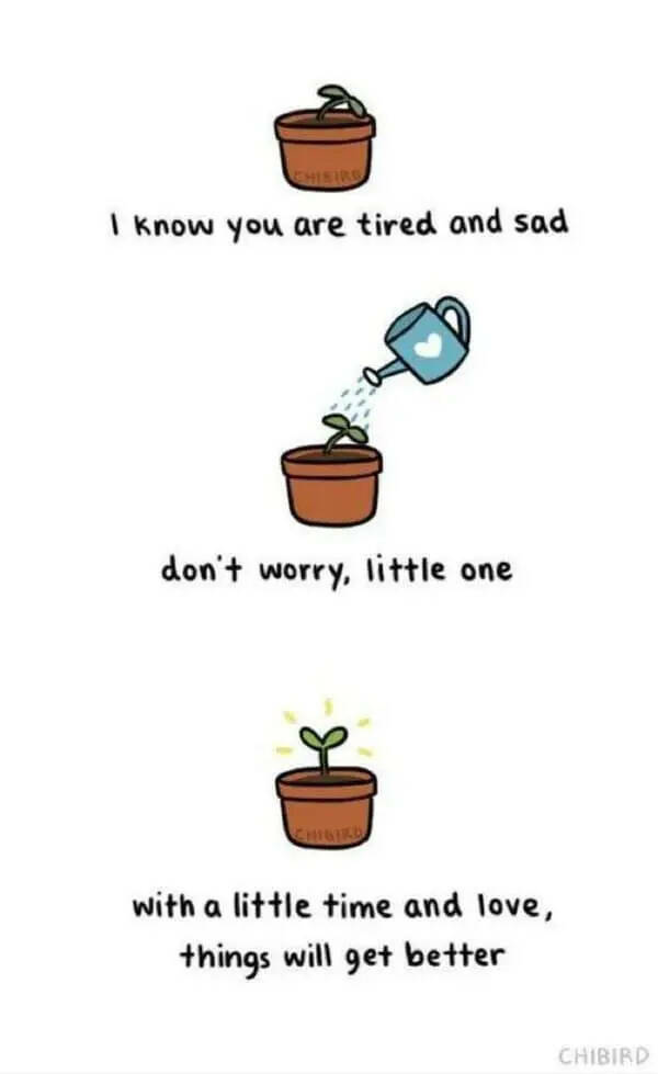 Pure Joy in Meme Form