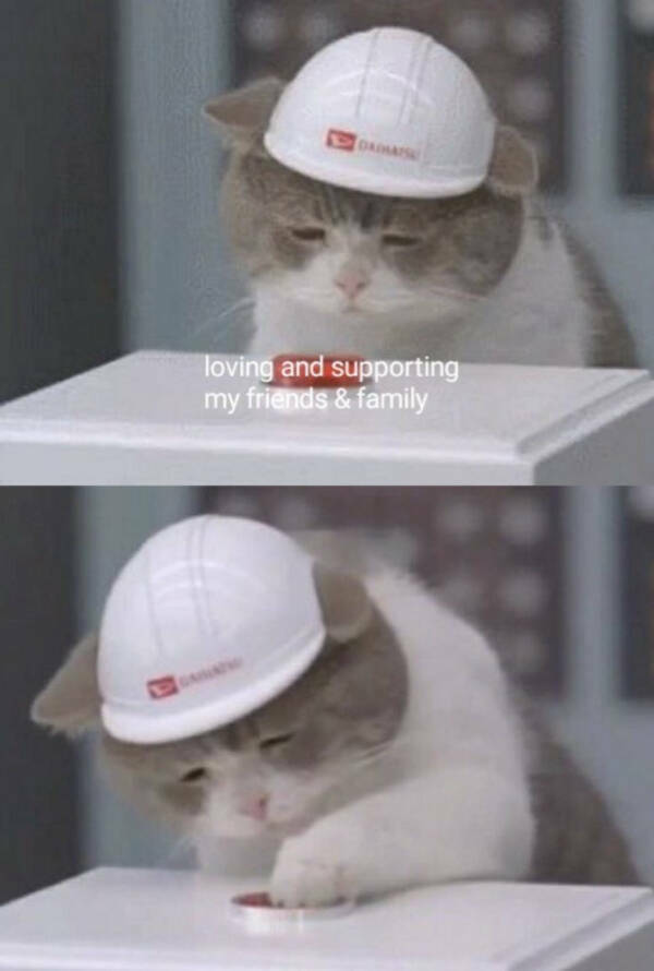 Pure Joy in Meme Form