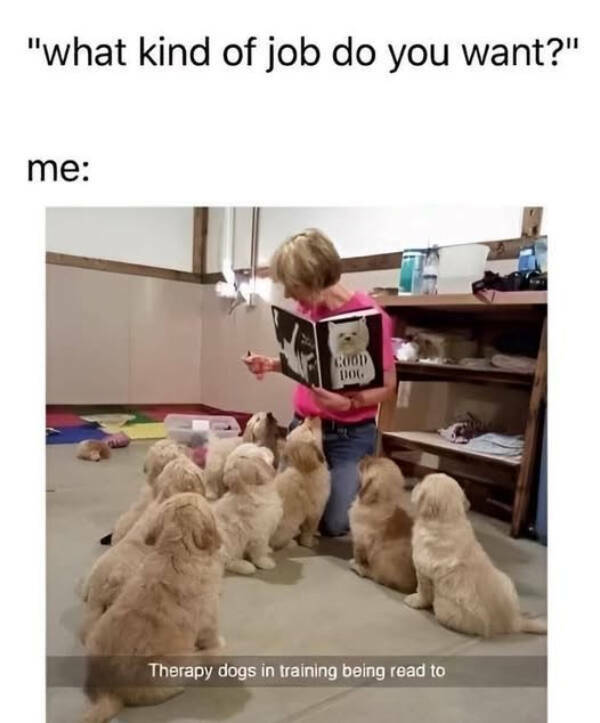 Pure Joy in Meme Form