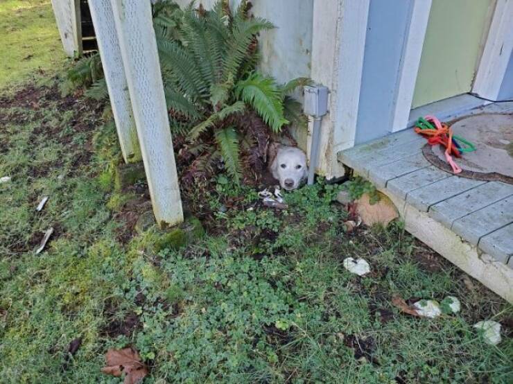 These Animals Regret Every Life Choice That Led to This Moment