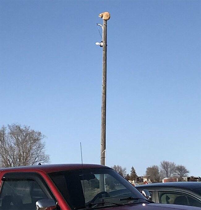 These Animals Regret Every Life Choice That Led to This Moment