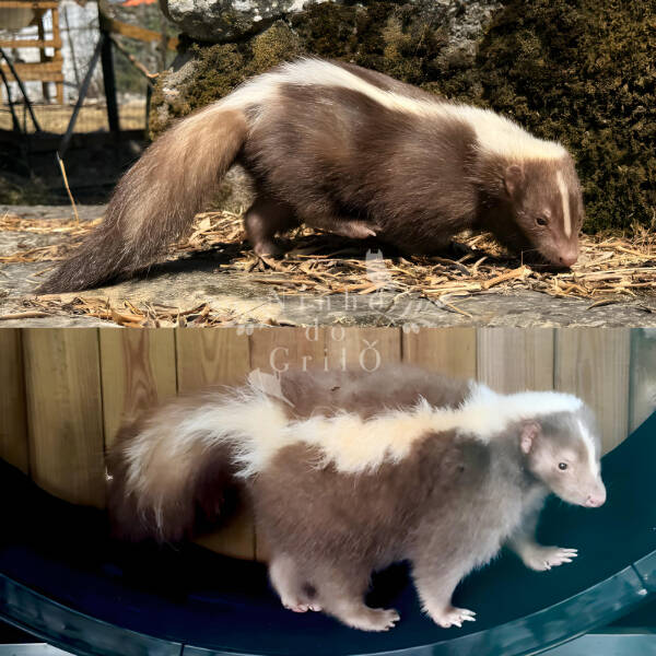 A Fresh Batch of Everyday Awesomeness