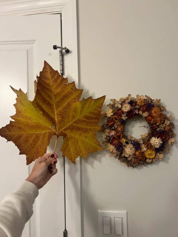 A Fresh Batch of Everyday Awesomeness