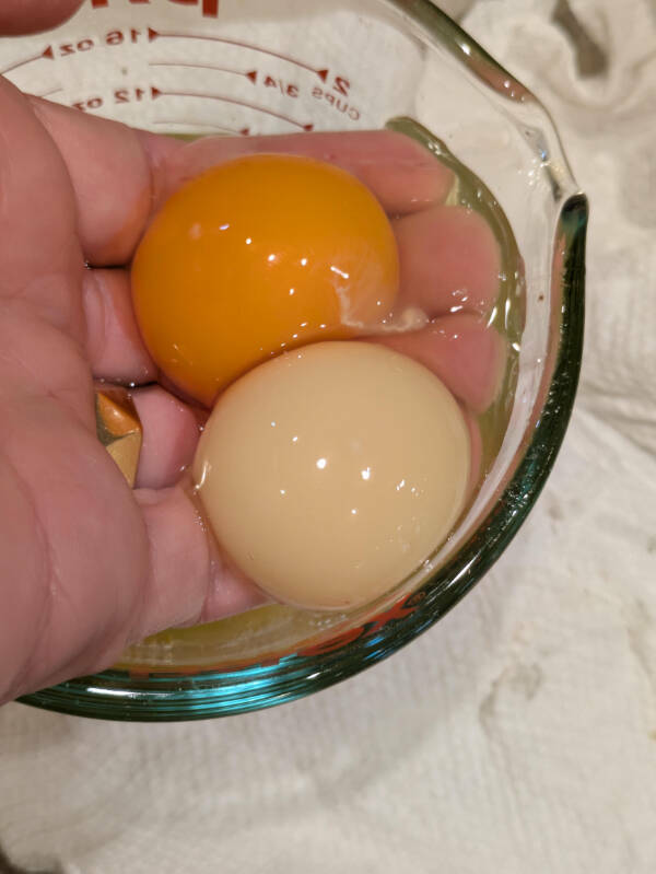 A Fresh Batch of Everyday Awesomeness