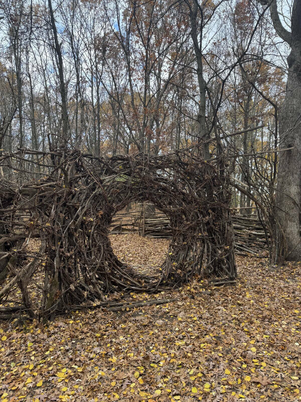 A Fresh Batch of Everyday Awesomeness