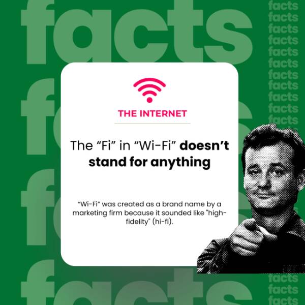 The Internet’s Weirdest Facts The Internet’s Weirdest Facts