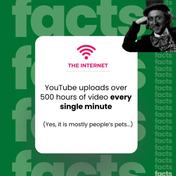 The Internet’s Weirdest Facts The Internet’s Weirdest Facts
