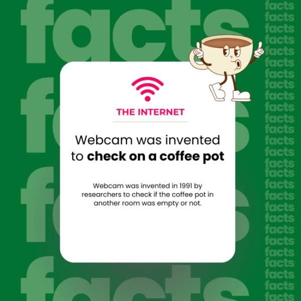 The Internet’s Weirdest Facts The Internet’s Weirdest Facts
