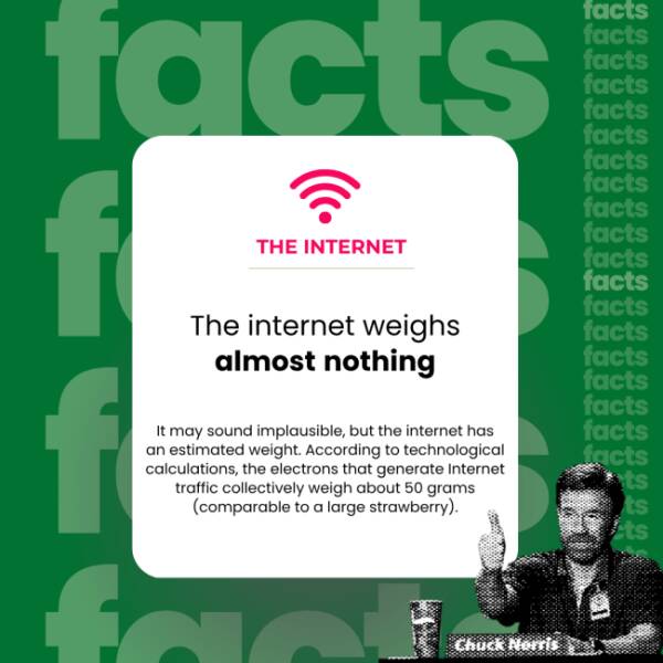 The Internet’s Weirdest Facts The Internet’s Weirdest Facts