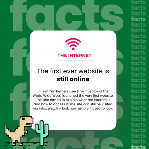 The Internet’s Weirdest Facts The Internet’s Weirdest Facts