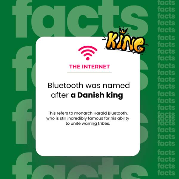 The Internet’s Weirdest Facts The Internet’s Weirdest Facts