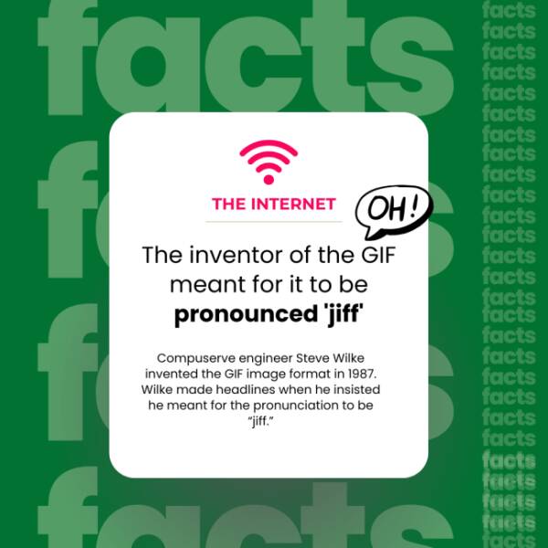 The Internet’s Weirdest Facts The Internet’s Weirdest Facts