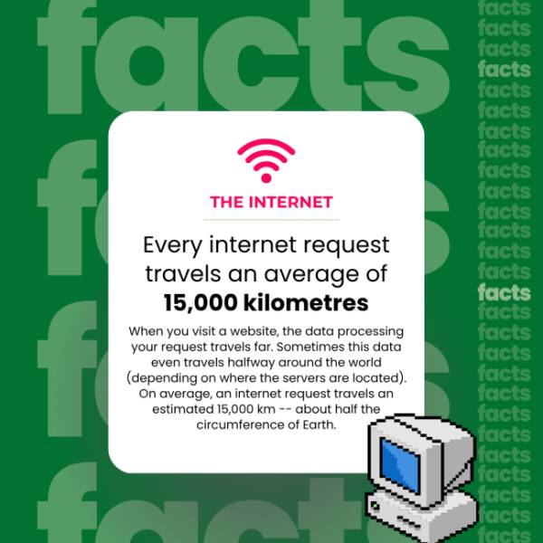 The Internet’s Weirdest Facts The Internet’s Weirdest Facts