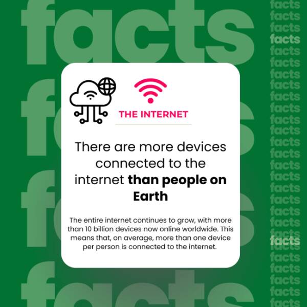 The Internet’s Weirdest Facts The Internet’s Weirdest Facts