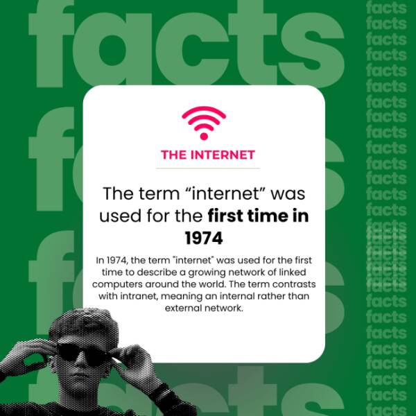 The Internet’s Weirdest Facts The Internet’s Weirdest Facts