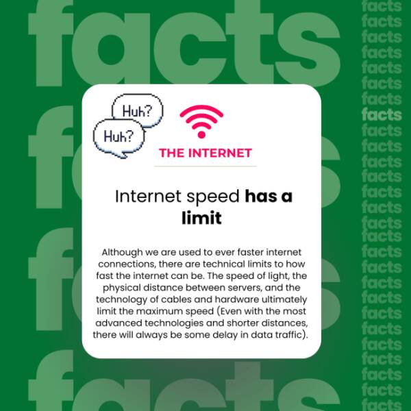 The Internet’s Weirdest Facts The Internet’s Weirdest Facts