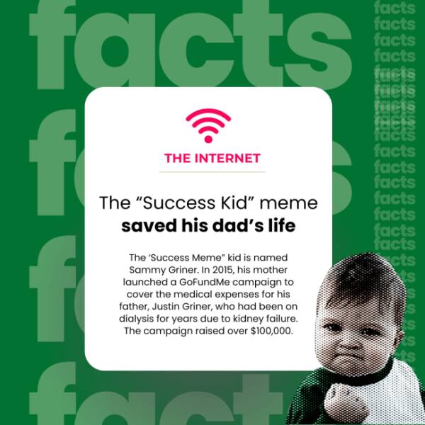 The Internet’s Weirdest Facts The Internet’s Weirdest Facts
