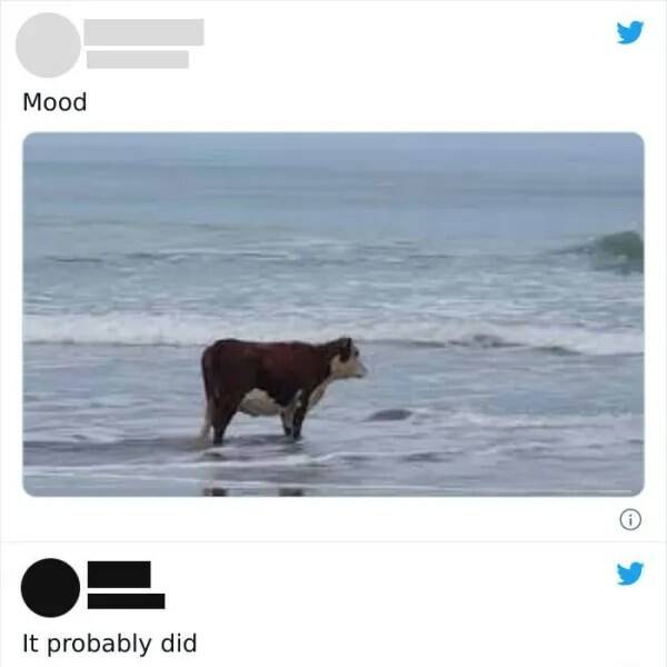 When You Take Things Way Too Literally