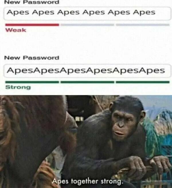 When You Take Things Way Too Literally