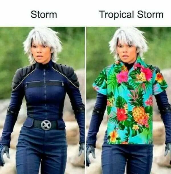 When You Take Things Way Too Literally