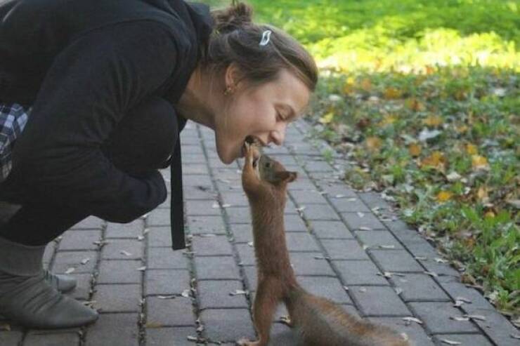 Daily Picdump Daily Picdump