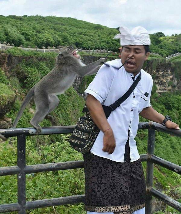 Daily Picdump Daily Picdump