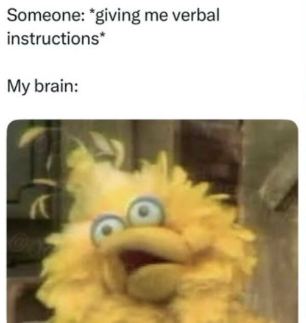 Awkward Humor That’s Both Cringe and Comforting