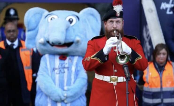 Awkwardly Silent Mascots: The Funniest Thing You’ll See in Sports