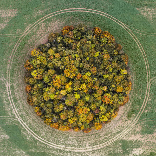 Photos That’ll Make You Look Twice (and Still Be Confused)