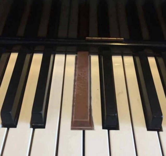 Pure Chaos Captured on Camera