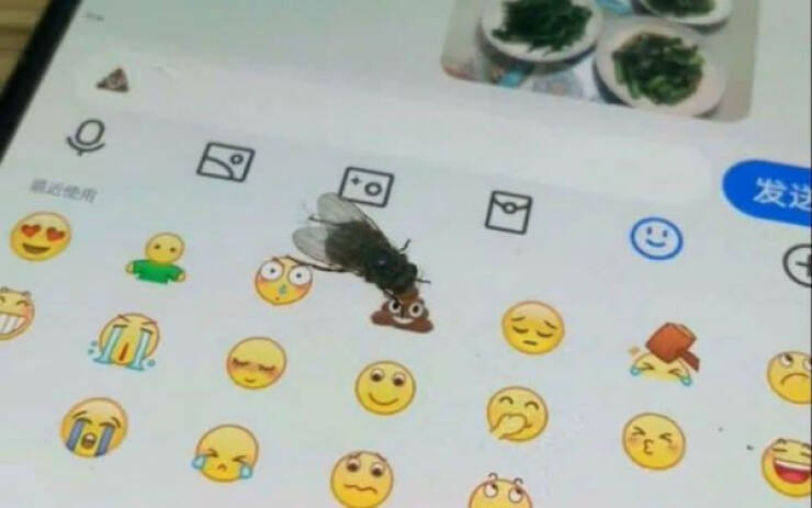 Pure Chaos Captured on Camera