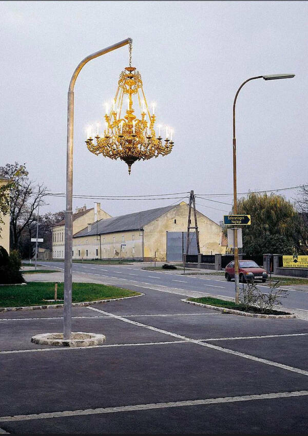 Pure Chaos Captured on Camera