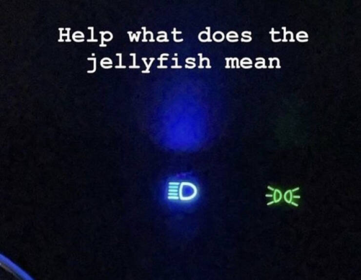 Undeniable Truths, but Make It Funny