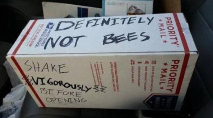 Undeniable Truths, but Make It Funny