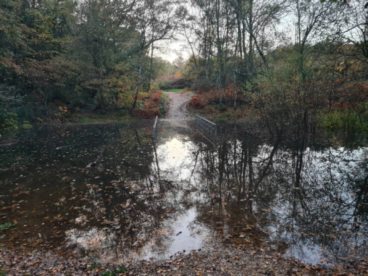 Bad Day? These Folks Have It Worse