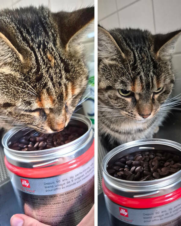 Bad Day? These Folks Have It Worse