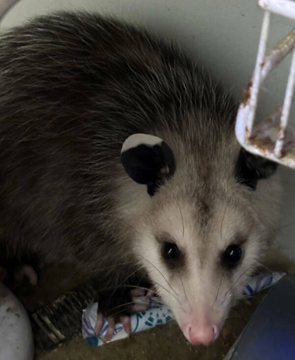 Bad Day? These Folks Have It Worse