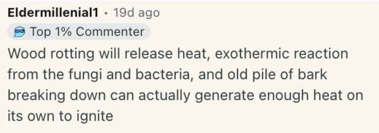 Satisfyingly Curious Images for Idle Browsing