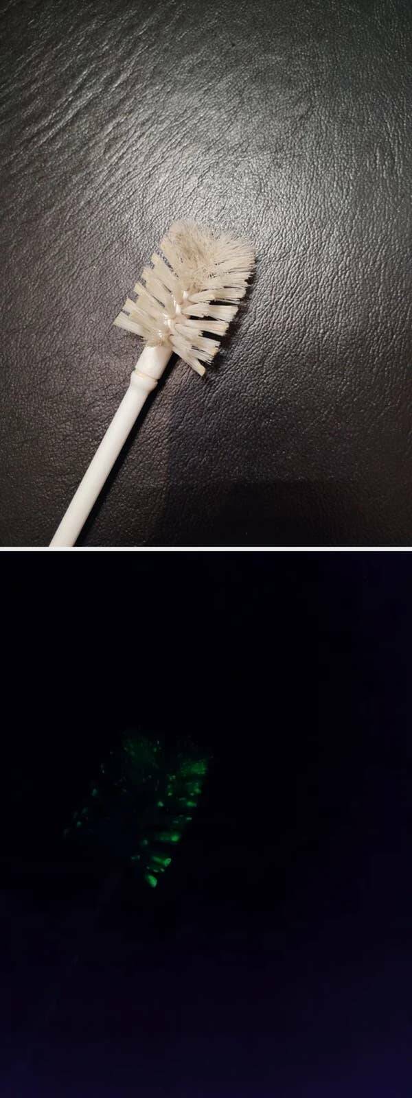 Satisfyingly Curious Images for Idle Browsing