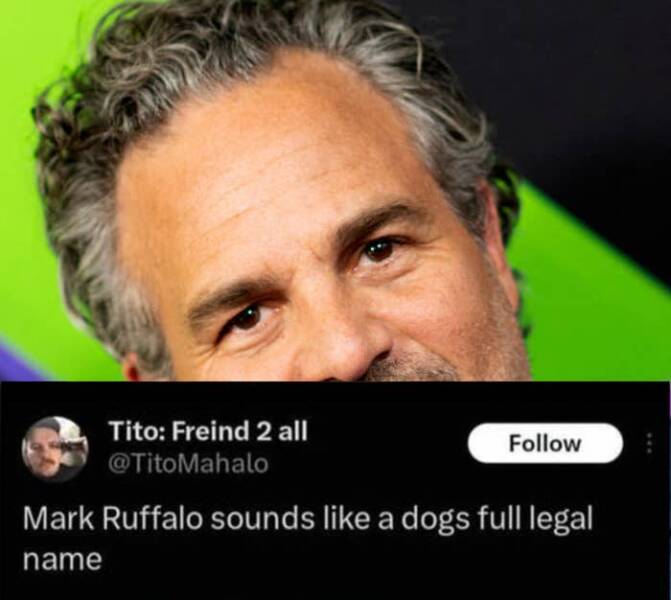 Stupidly Hilarious Photos You Can’t Unsee