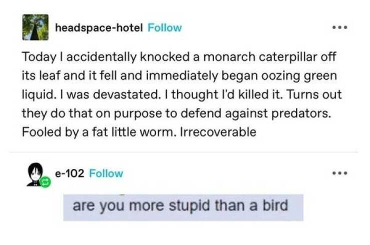 Stupidly Hilarious Photos You Can’t Unsee