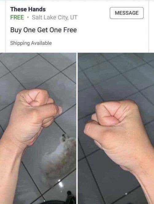 Stupidly Hilarious Photos You Can’t Unsee