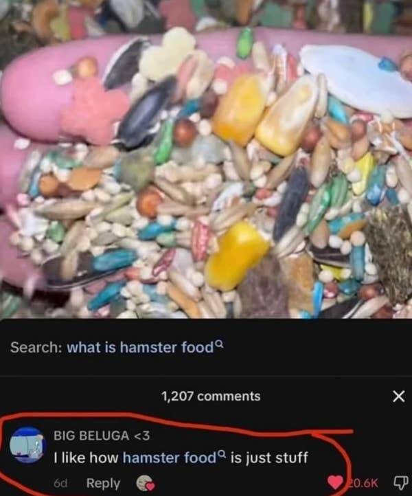 Stupidly Hilarious Photos You Can’t Unsee